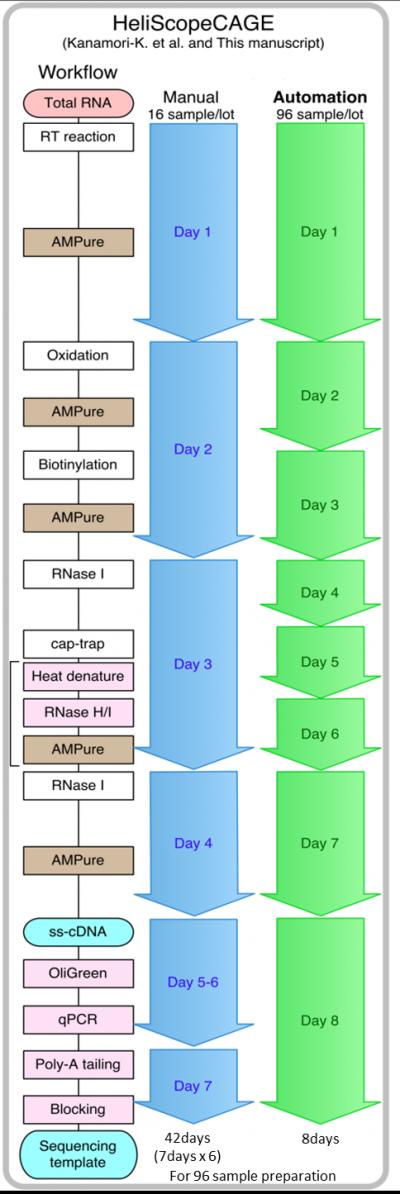 Comparison of Time Frames