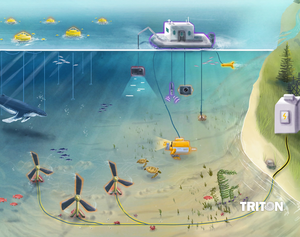 Environmental monitoring of marine energy
