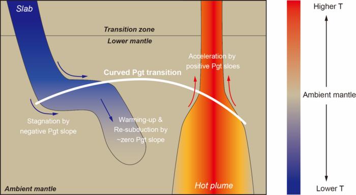 The curved post-garnet phase boundary and its implications for mantle dynamics, in the upper part of the lower mantle.