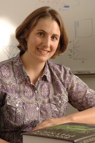 Investigating the Cytoskeleton