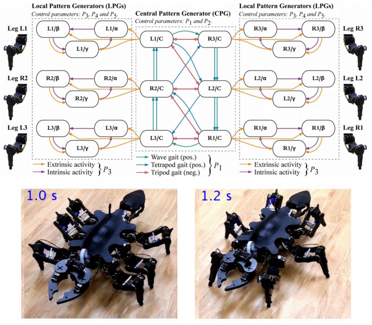 Representation of the Controller and Images of Two Robot Postures