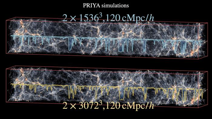 PRIYA Simulations