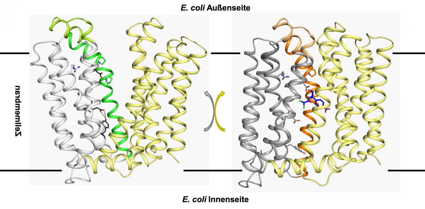 Structure of MdfA