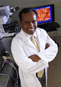 Muniswamy Madesh, Ph.D., Temple University Health System