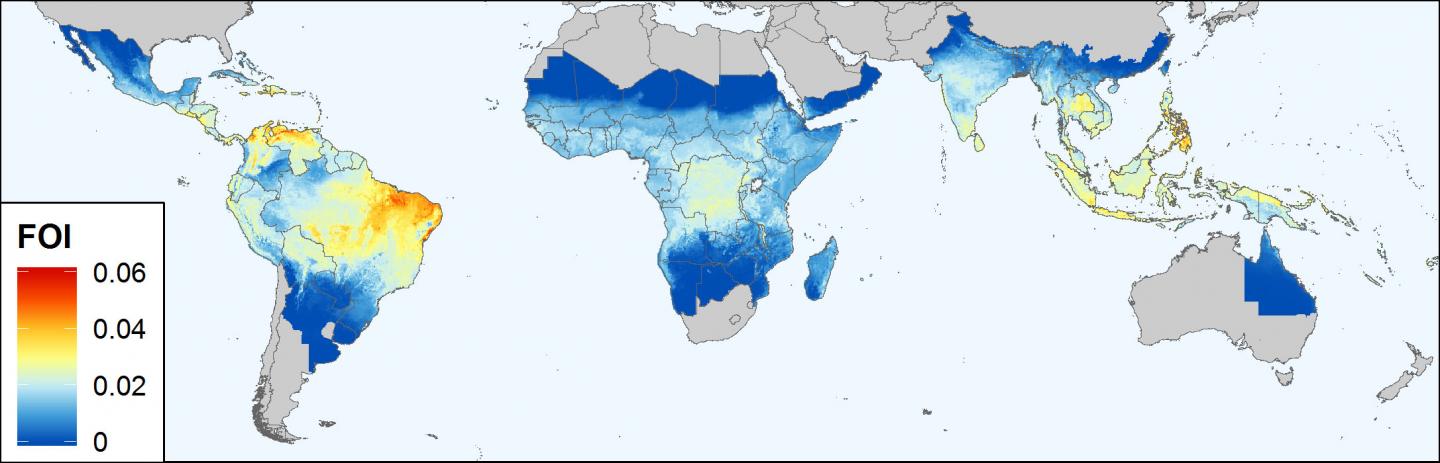 dengue map