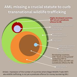 AML missing a crucial statute to curb transnational wildlife trafficking