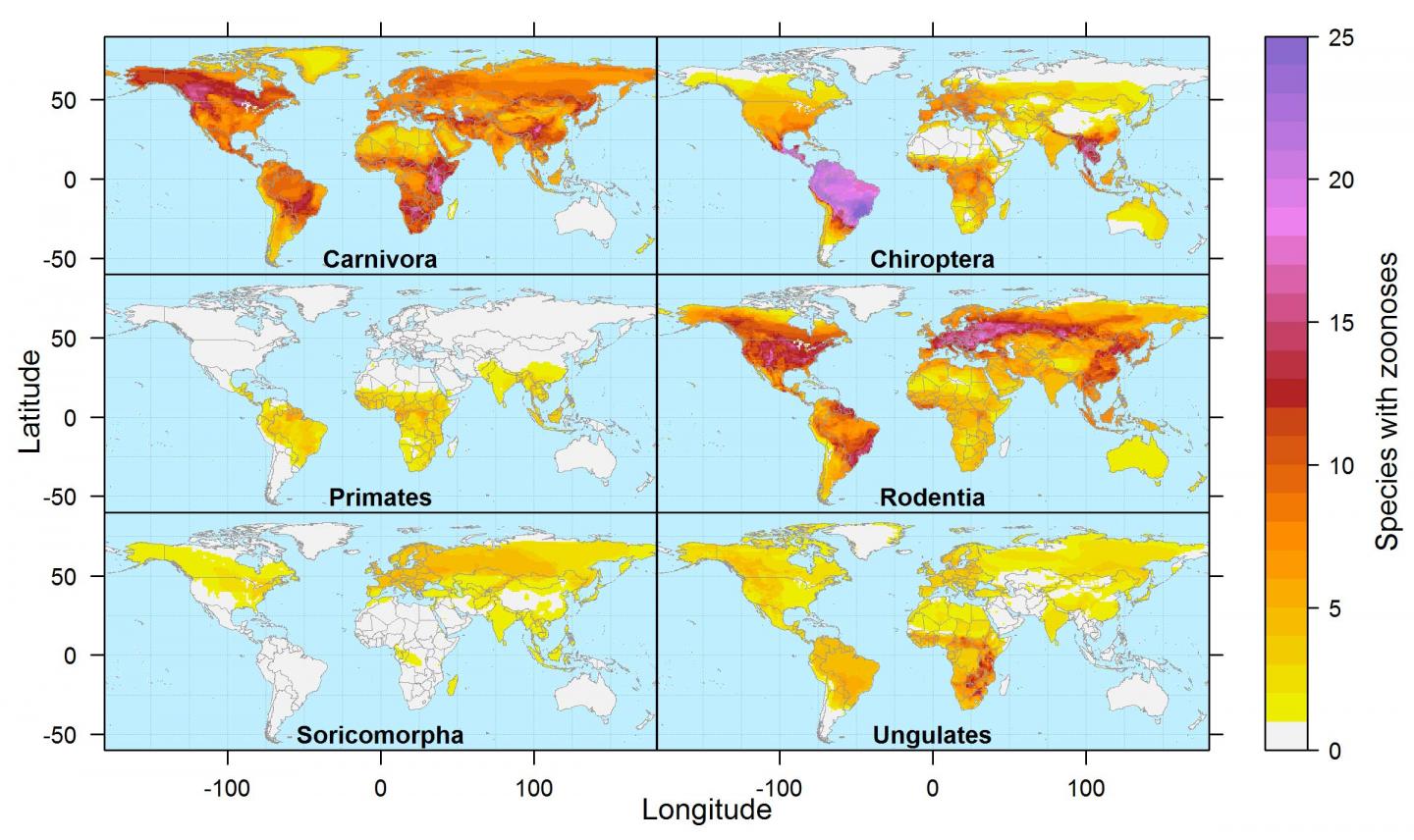 Global Hotspots of Zoonoses by Mammalian Clades
