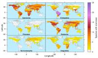 Global Hotspots of Zoonoses by Mammalian Clades