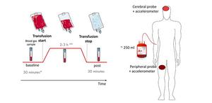 Blood transf - 920