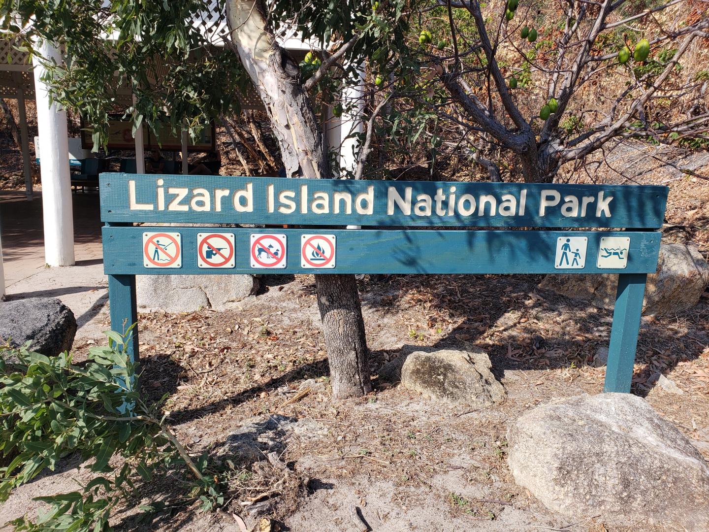 Lizard Island coral research