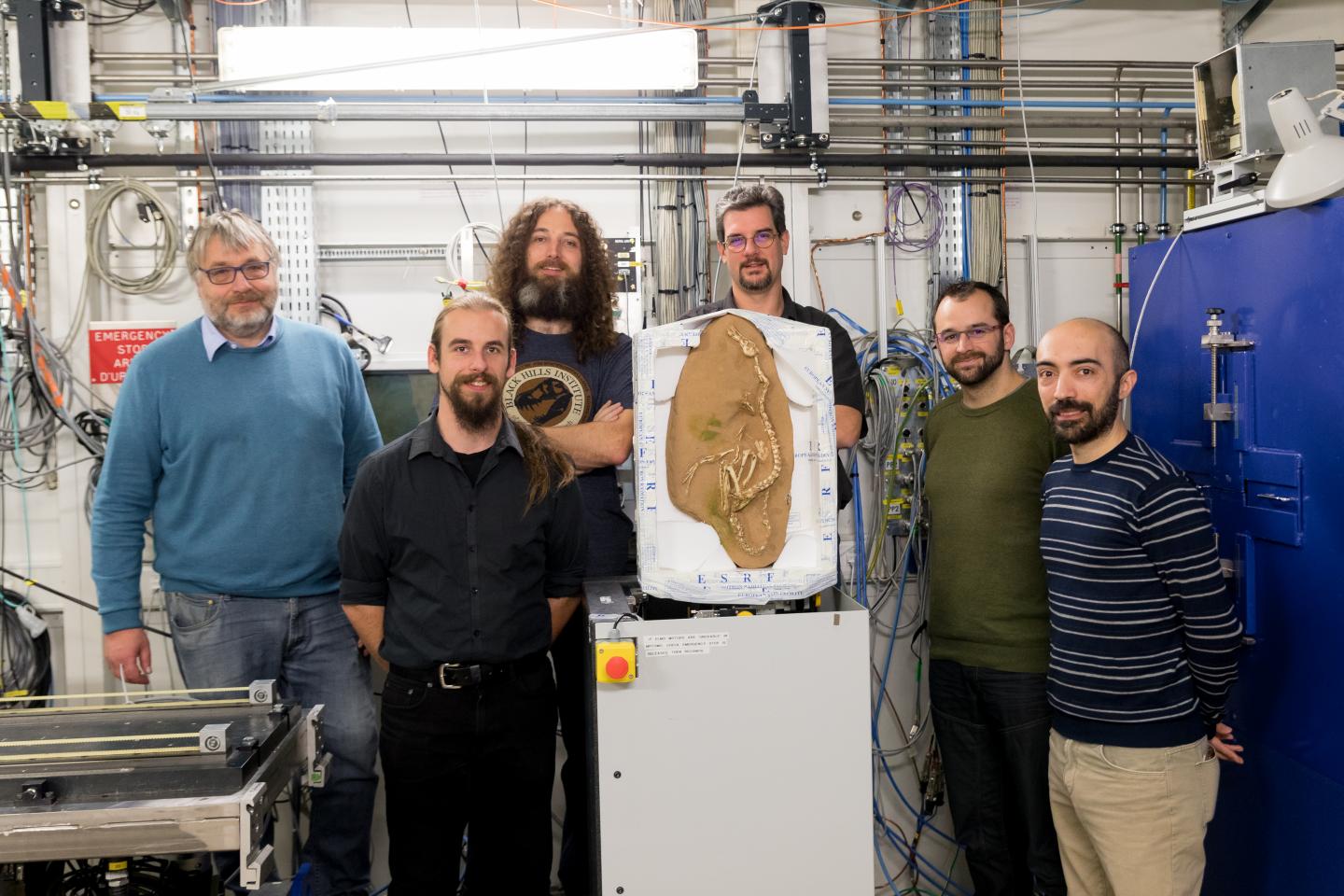 The International Team of Researchers