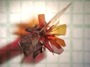 Boron arsenide single crystals