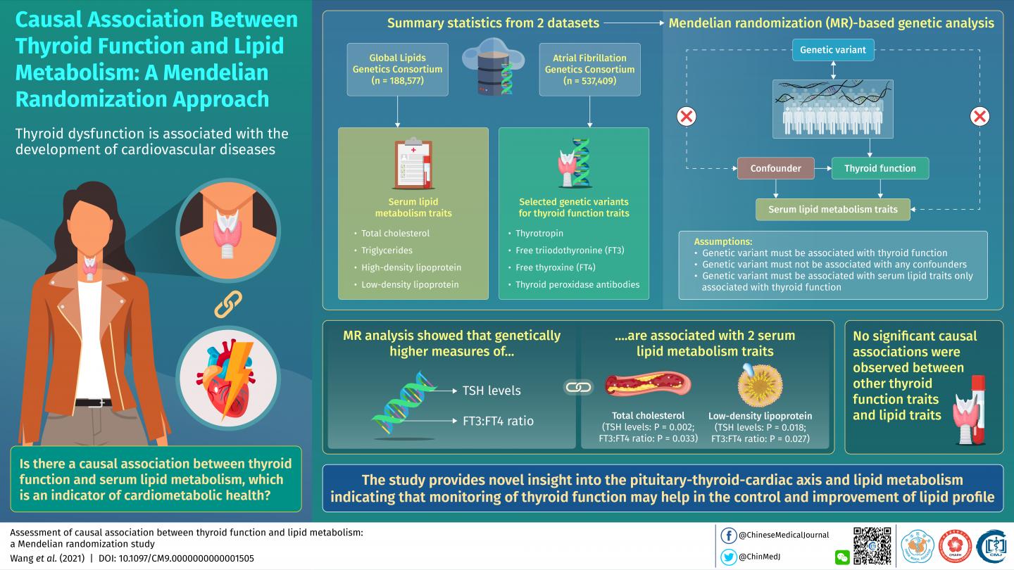 Missing Link Between Thyroid Function and Lipid Profile
