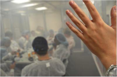 Experiment Mimics 'Extreme' Exposure to Secondhand Cannabis Smoke