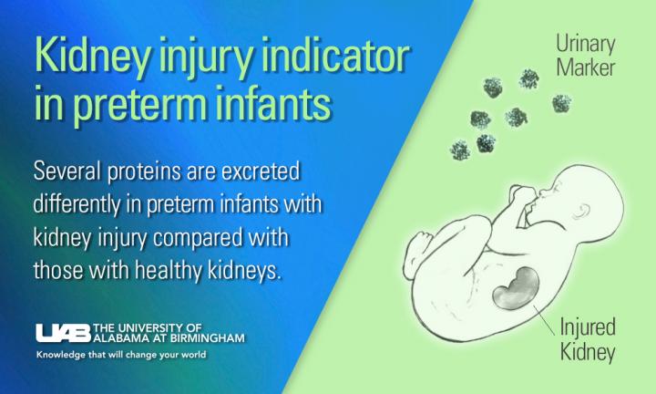 Acute Kidney Injury Identifiable in Preterm Infants