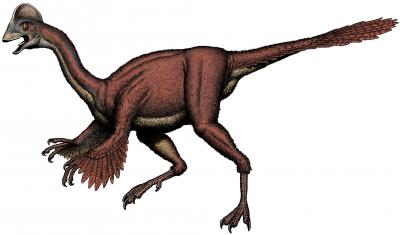 <i>Anzu wyliei</i>, New Cretaceous Dinosaur