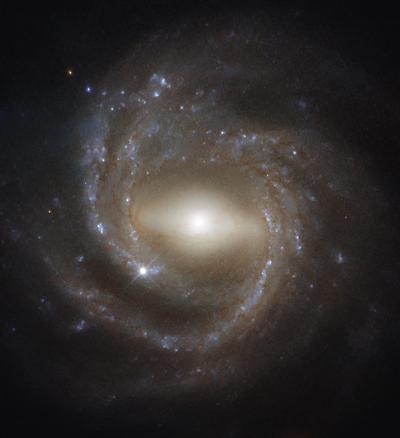 NGC 7773
