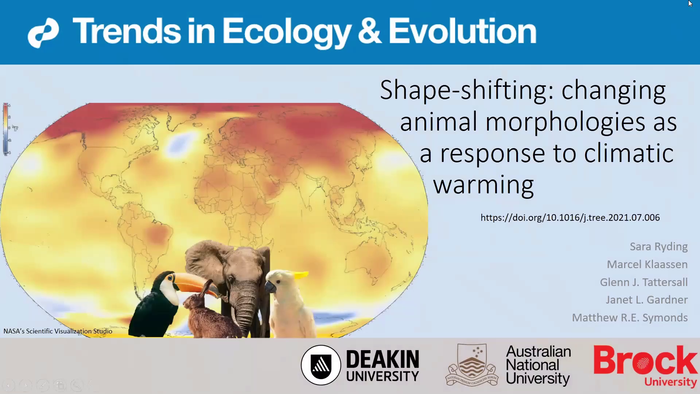 Changing animal morphologies as a response to climatic warming