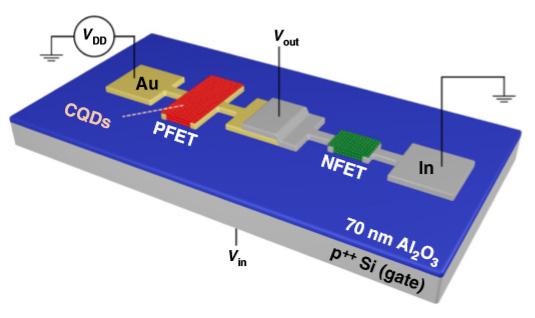 Quantum Dot Logic Circuits Provide the Long-Sought Building Blocks for Innovative Devices