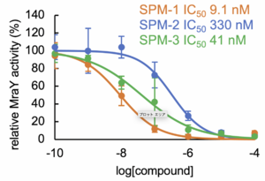 Potency of sphaerimicin analogs