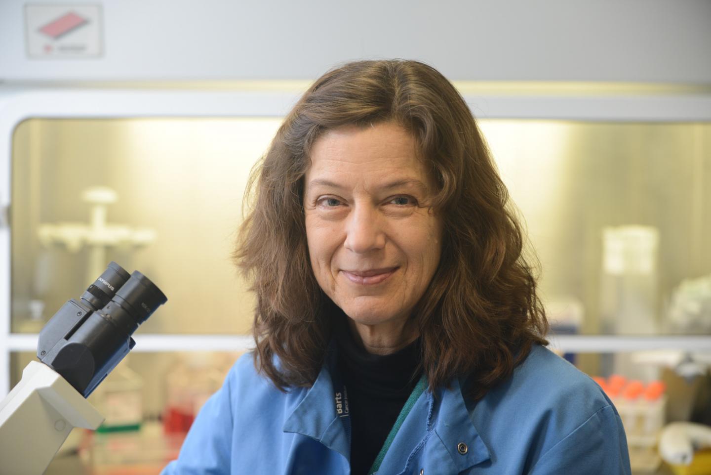 Gunnel Halldén, Queen Mary University of London