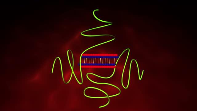 Dynamic ion-pairing of unit polyion complex (uPIC)