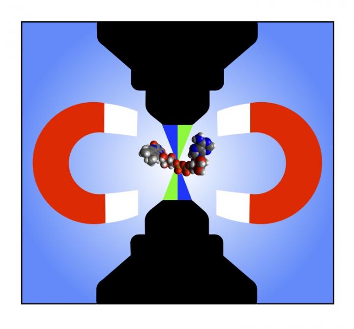 Cartoon Representing the Two New Microscopy Techniques Developed in this Work