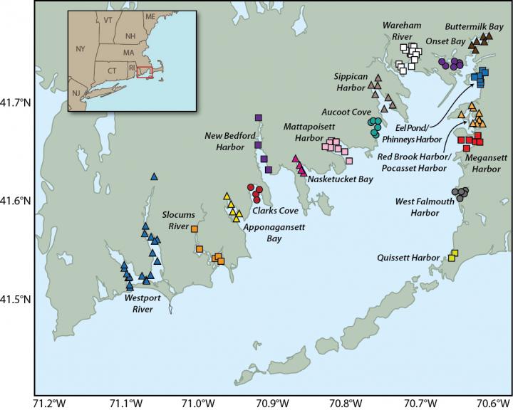 Study Reveals Climate Change Impacts on Buzzards Bay