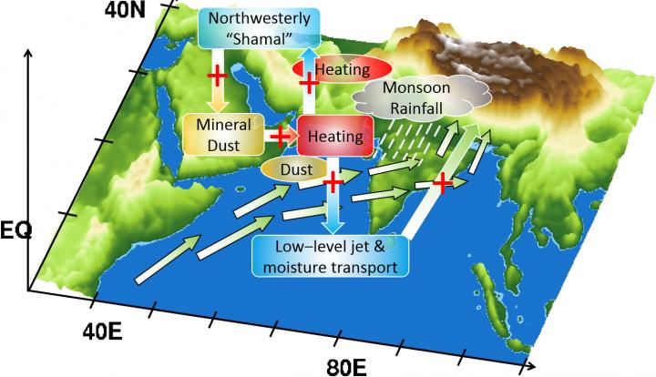 Mineral Dust Interacting with Monsoon