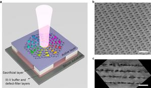 Novel Dirac-vortex topological lasers monolithically grown on silicon.