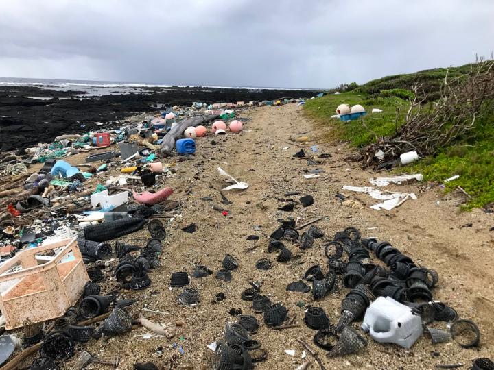 Plastic Pollution on Hawaii Is [IMAGE] EurekAlert! Science News Releases