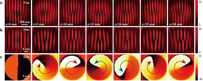 Observation of pseudo spinor oscillations