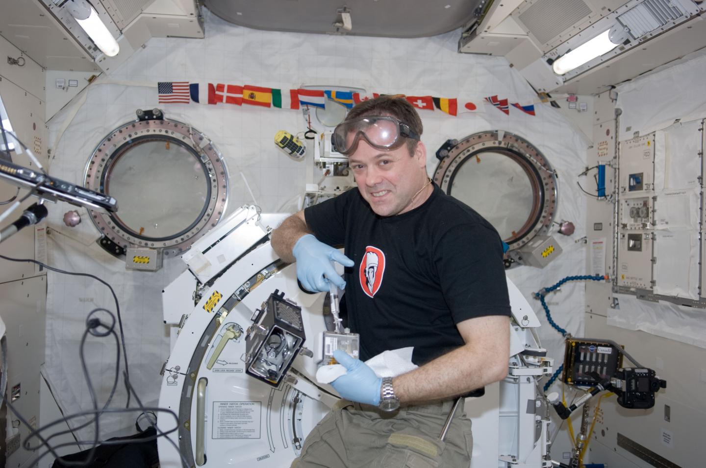 Cucumbers in Space Provide Insights on Root Growth