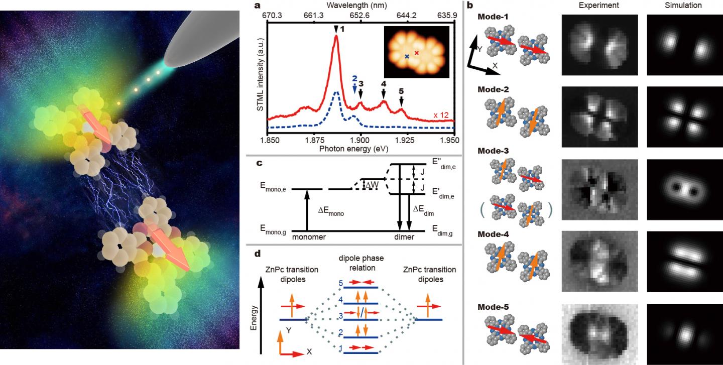 China Scientists Visualize Coherent Intermolecular Dipole-Dipole Interactions