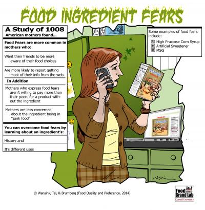 Food Ingredient Fears