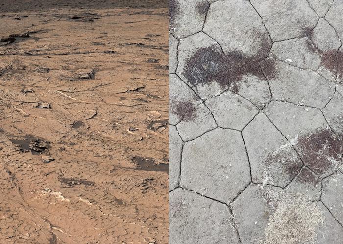 Mud cracks on Mars