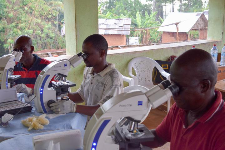 Examining blood smears