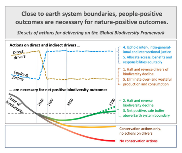 Six sets of actions for delivering on the Global Biodiversity Framework