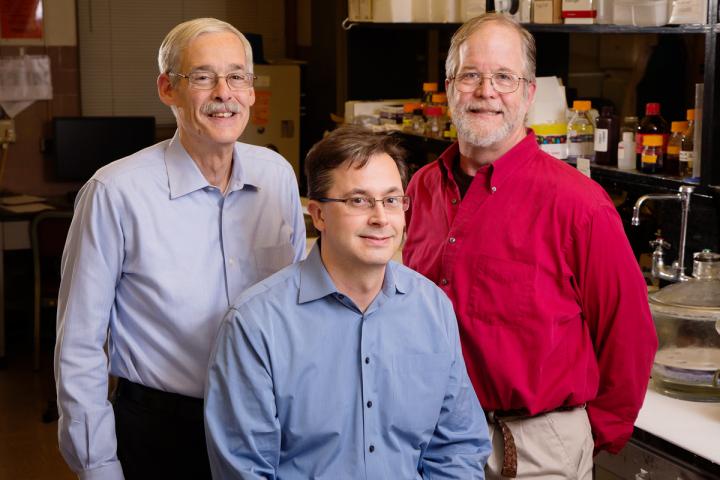 John W. Erdman Jr., Eric C. Bolton and Matthew A. Wallig