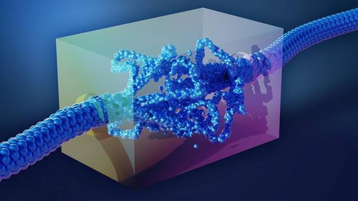 Can Electricity Flow Without Electrons?