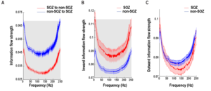 Charts of Information Flow Strength During Resting State