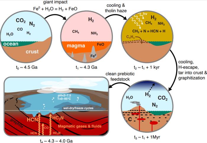 Drawing a line back to the origin of life | EurekAlert!