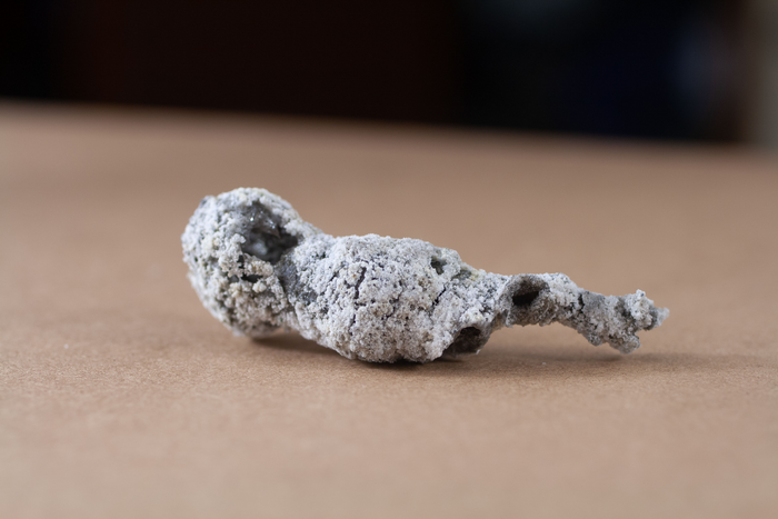 newportrichey-fulguriterock-2