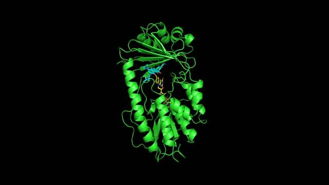 Two views of Tet(X7) tetracycline destructase