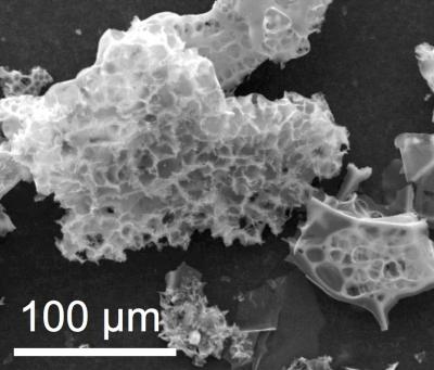 Nitrogen-Containing Porous Carbon