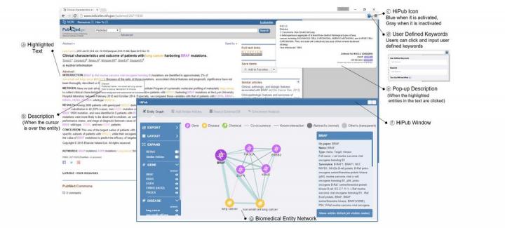 HiPub Visualizes PubMed Data