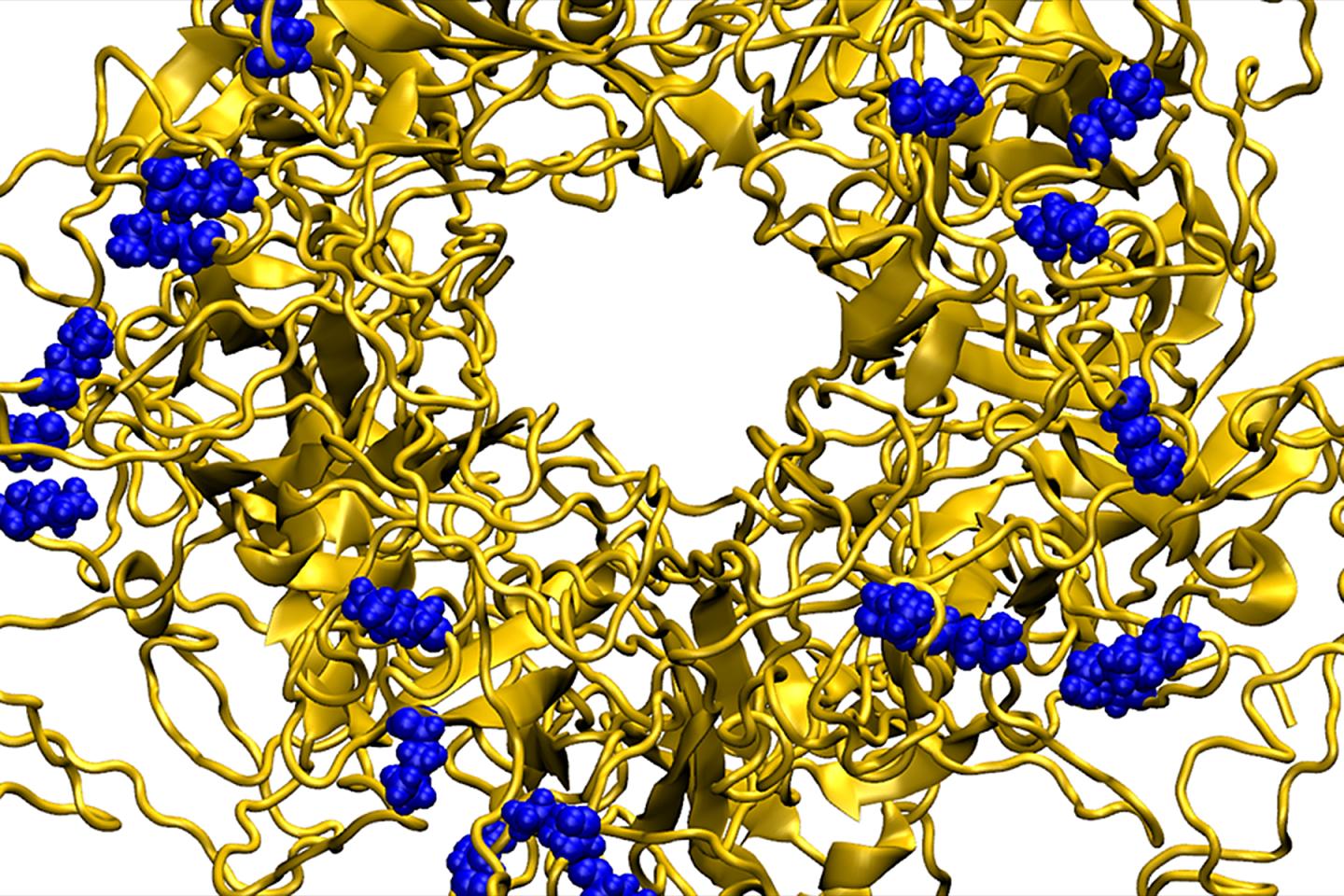 Molecular Dynamics Model