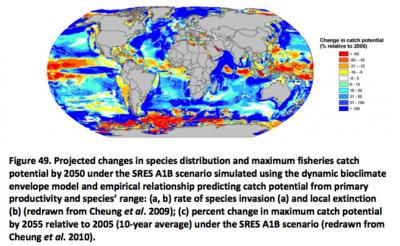 Projected Changes in Species Distribution