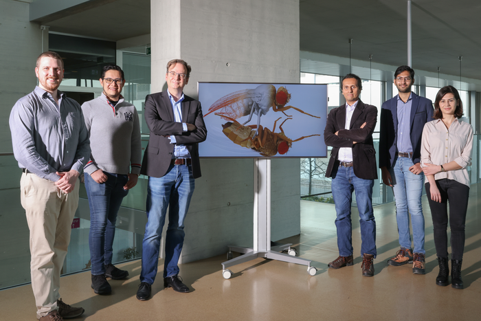 The NeuroMechFly research team