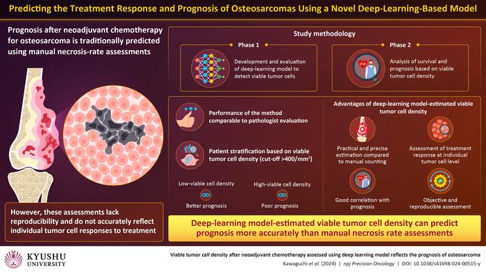 Novel deep-learning model can improve prognostic stratification of patients with osteosarcoma based on viable tumor cell density